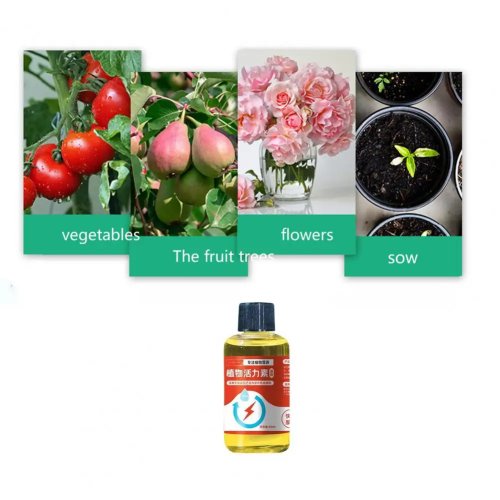 Fertilizante Líquido para Plantas - Estimulador de Raízes e Floração - Nutriente para Flores