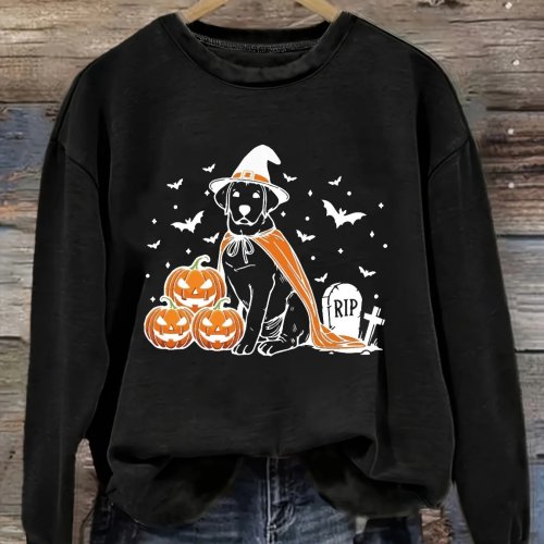 T-shirt à Manches Longues pour Femme Col Rond Motif Halloween Chien Chapeau de Sorcière Citrouilles, Top Ample, Lavable en Machine, Légèrement Élastique, Printemps Automne Hiver, Déguisement Halloween