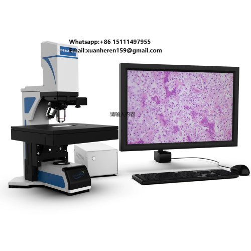Automated USB Biological Microscope for Laboratory, Environmental & Life Sciences, Various Applications