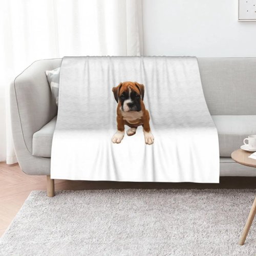 Plaid da divano con cucciolo boxer carino – Coperta calda per estate e viaggi