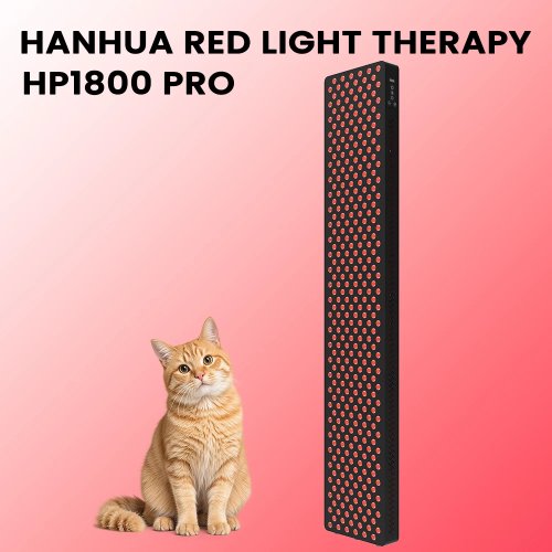 Đèn trị liệu ánh sáng đỏ Greylove 1800W hồng ngoại gần 660nm 850nm LED chống lão hóa giảm đau