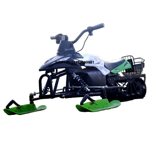 HL-ES-05 Motoneige électrique professionnelle 800W, batterie 48V 10Ah, charge utile 200kg, véhicule tout-terrain 20km/h