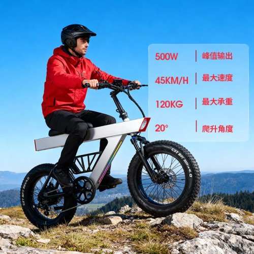 Xe đạp điện leo núi Q1 off-road, tốc độ thay đổi, người lớn công suất cao