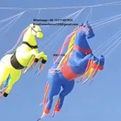 Papalote 3D de Nylon Inflable Caballo Parafoil Suave de Playa 5m