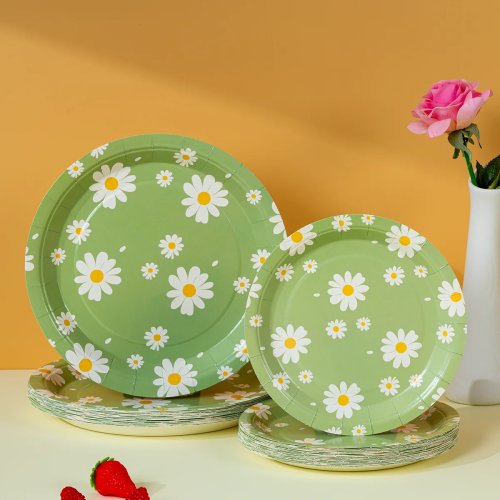 Stevige wegwerp papieren borden met pastel bloemenprint voor picknick, bruidsshower en lenteverjaardag decoratie