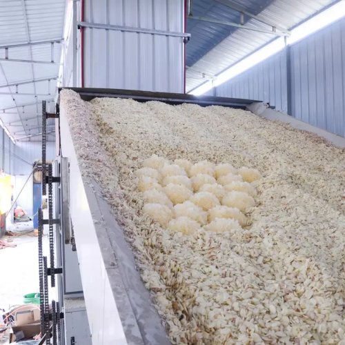 Máy sấy băng tải lưới chuyên nghiệp cho tỏi, dây chuyền sấy công nghiệp, máy sấy thực phẩm, rau củ, trái cây, thảo mộc