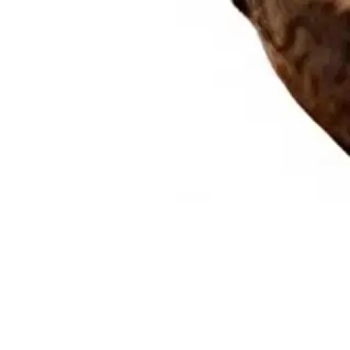 걸기 쉬운 크리스마스 장식품 – 아늑한 숲 도토리 & 러스틱 솔방울 데코, 2D 아크릴 크리스마스 장식