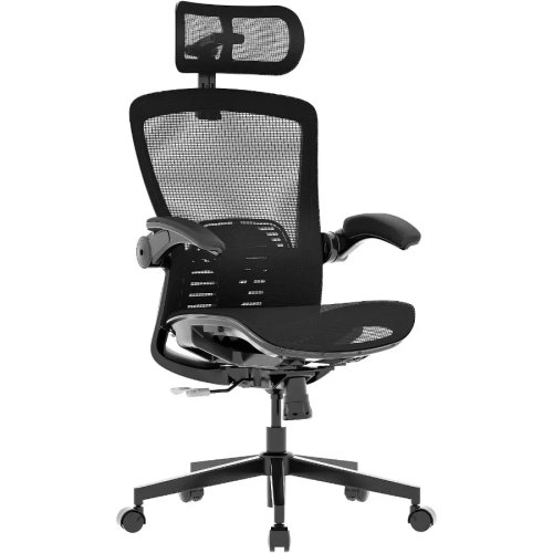 เก้าอี้สำนักงานเพื่อสุขภาพ Ergonomic เบาะตาข่าย สีดำ แขนพับได้ และรองรับหลังส่วนล่าง 8 ระดับ สำหรับทำงานที่บ้านและเล่นเกม