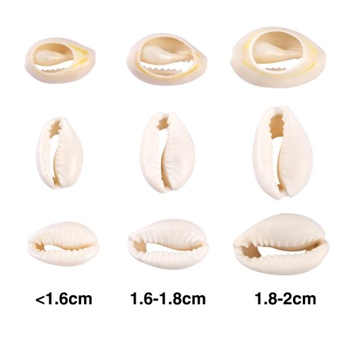 20/50 Stuks Witte Kaurischelp Kralen voor Sieraden Maken - Schelp Charms voor Oorbellen, Armbanden, Kettingen - DIY Knutselbenodigdheden voor Vrouwen