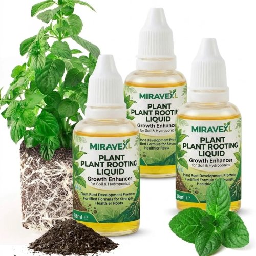 38ml Plant Rooting Liquid – Fast Growth Enhancer & Concentrated Rooting Booster for Soil, Hydroponics & Cuttings