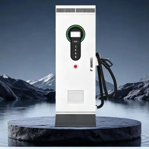 Caricatore Rapido EV 30kW AC 40kW DC da Parete CCS1/CCS2 Stazione di Ricarica Commerciale Ingresso AC380V Uscita 0-250A