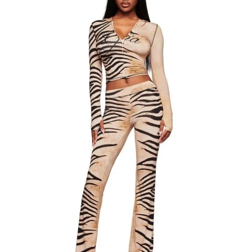 Conjunto de 2 Piezas para Mujer Sexy Estampado Leopardo – Top Corto con Capucha de Manga Larga y Pantalones Levanta Glúteos, Outfit Streetwear