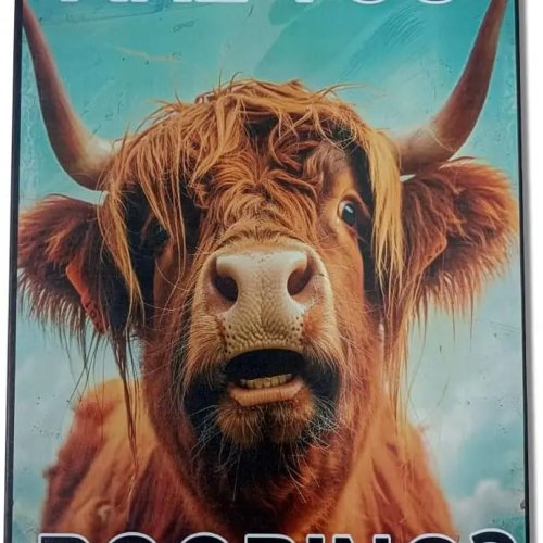 Funny Highland Cow 'Are You Pooping' Vintage Tin Sign for Bathroom Toilet Metal Wall Decor